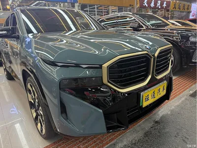 2023 BMW XM 50e, фото 3, лот 10477233