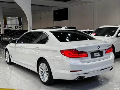 2020 BMW 5 Series 530Li Leading Luxury Package, фото 4, лот 10482609