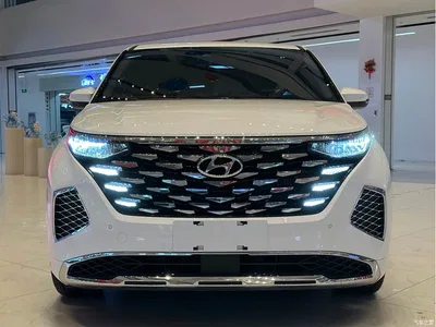 2024 Hyundai Kustu 270TGDi LUX Premium Edition, фото 2, лот 10931292