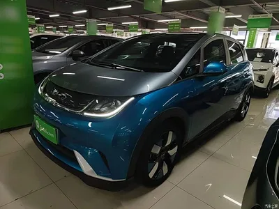 2021 BYD Dolphin 401km Knight Edition, фото 1, лот 10264410