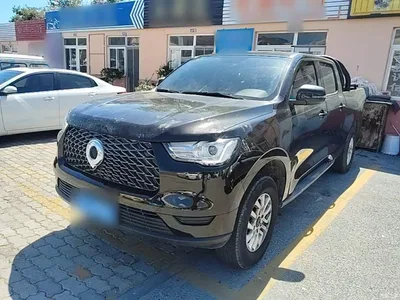 2019 Great Wall Pao 2.0T Commercial Version Automatic Gasoline 2WD Elite Long Box GW4C20B, фото 2, лот 10246306