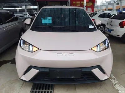 2024 BYD Seagull Glory Edition 305km Vitality Edition, фото 3, лот 10262799