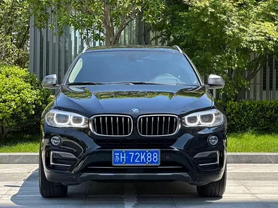2017 BMW X6 xDrive28i, фото 2, лот 10469368