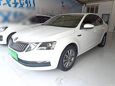 2019 Škoda Octavia 1.5L Automatic Smart Comfort China VI, фото 2, лот 10348018