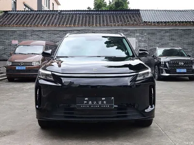 2025 Landian E5 PLUS 165km Long Range Travel Custom Edition 7-seater, фото 2, лот 11646062