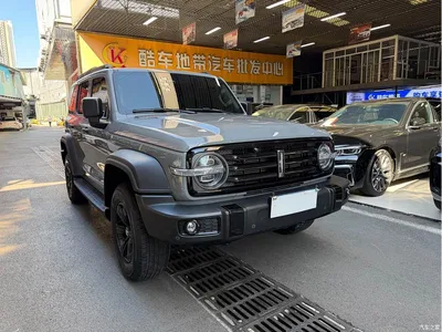 2021 Tank 300 Off-road Edition 2.0T Challenger, фото 3, лот 10344272