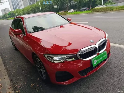 2020 BMW 3 Series 320Li M Sport Package, фото 4, лот 11095897