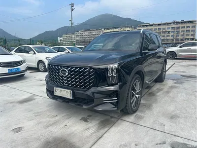 2022 GAC Trumpchi Trumpchi GS8 Pilot Series 2.0TGDI 4WD Luxury Smart Connect Edition (7-Seater), фото 1, лот 10417486