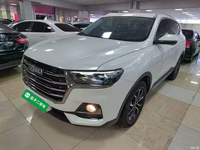 2021 Haval H6 National Trend Edition 1.5T Automatic Urban Edition, фото 2, лот 10286591