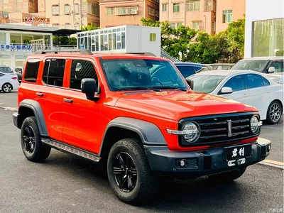 2021 Tank 300 Off-road Version 2.0T Conqueror, фото 3, лот 10344218