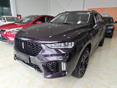 2017 WEY VV7 2.0T Flagship, фото 2, лот 10625182