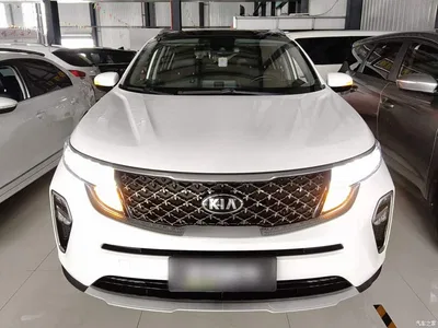 2019 Kia KX5 1.6T Automatic 2WD Luxury Edition, фото 3, лот 10842808