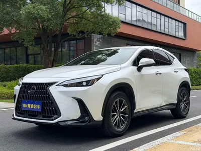 2023 Lexus NX 260 FWD Joy Creation Edition, фото 1, лот 11580833