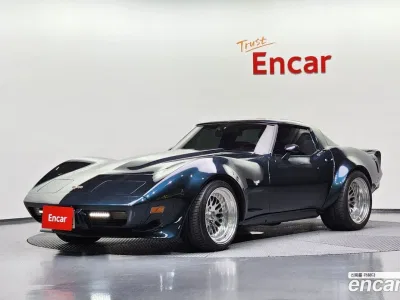 1979 Chevrolet Corvette Convertible, фото 1, лот 10119822