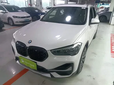 2020 BMW X1 xDrive25Li Premium Edition, фото 1, лот 10467524