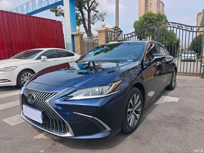 2021 Lexus ES 200 Excellence Edition, фото 1, лот 10319170