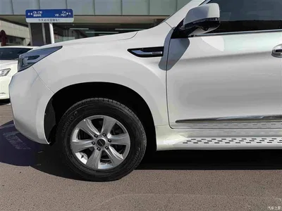 2020 Haval H9 2.0T Gasoline 4WD Smart Enjoyment 5-Seater, фото 4, лот 10399143