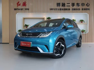 2021 BYD Dolphin Model 405km Fashion Edition, фото 1, лот 10248038