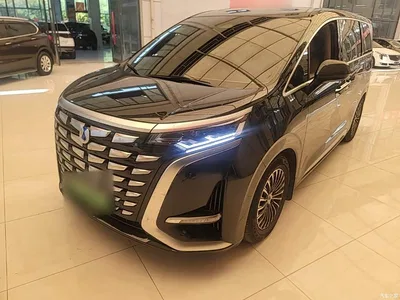 2024 Denza D9 DM-i 970 Luxury, фото 2, лот 10389959