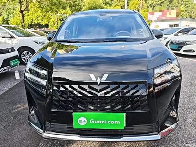 2025 Wuling Motors Xingguang 730 New Energy Model Plug-in Hybrid Base Version, фото 3, лот 11166119