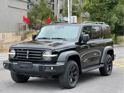 2021 Tank 300 Off-road Version 2.0T Conqueror, фото 1, лот 11492861