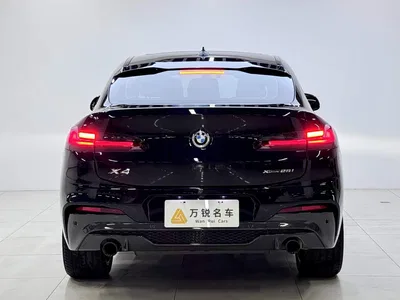 2021 BMW X4 xDrive 25i M Sport Glorious Night Package, фото 4, лот 10895151