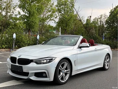 2019 BMW 4 Series 425i Convertible M Sport Package, фото 1, лот 10468550