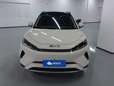 2025 BYD Hai Shi 05 EV 520KM Flagship Smart Navigation Edition, фото 2, лот 10273361