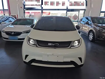 2023 BYD Dolphin 420km Fashion Edition, фото 3, лот 10264409