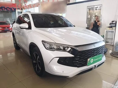 2023 BYD Song Pro New Energy Champion Edition DM-i 110KM Surpassing Type, фото 4, лот 10276799