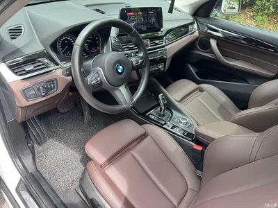 2020 BMW X1 sDrive20Li Premium Edition, фото 4, лот 10466691