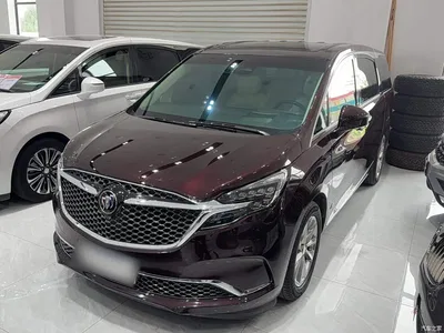 2020 Buick GL8 Avenir Six-Seat Elegance Edition, фото 2, лот 11195514