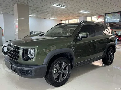 2021 Haval Big Dog 1.5T DCT 2WD Husky Edition, фото 2, лот 10361266