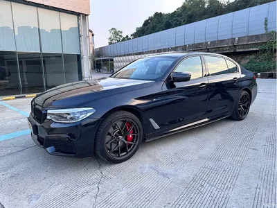 2020 BMW 5 Series 530Li Exclusive M Sport Package, фото 1, лот 11451901