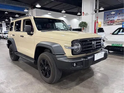 2025 Tank 300 2.0T Challenger, фото 3, лот 10345068