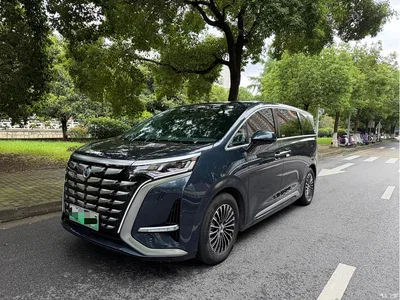 2022 Denza D9 DM-i 970 AWD Flagship, фото 1, лот 10383465