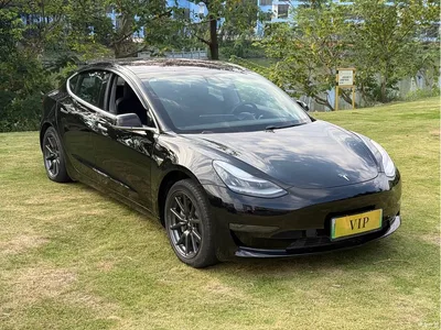 2019 Tesla Model 3 (Import) Long Range RWD Version, фото 3, лот 10838092