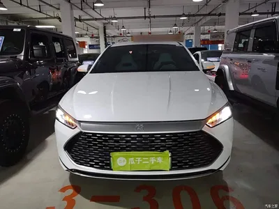 2023 BYD Qin PLUS Champion Edition DM-i 55KM Leading, фото 3, лот 10890111