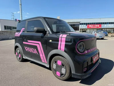 2024 Geely Galaxy Panda 200km Panda Kart, фото 3, лот 10429573
