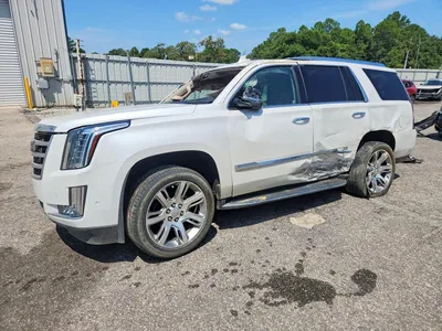 2019 CADILLAC ESCALADE LUXURY, фото 1, лот 10866339