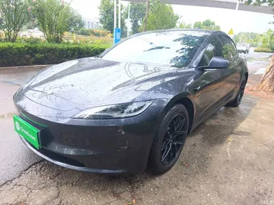 2025 Tesla Model 3 Model Rear-Wheel Drive Edition, фото 1, лот 10370242