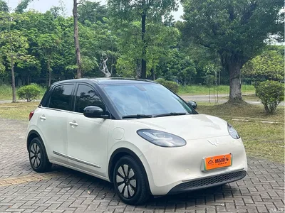 2024 Wuling Motors Wuling Bingo 410km Smart Premium Edition, фото 3, лот 11073471