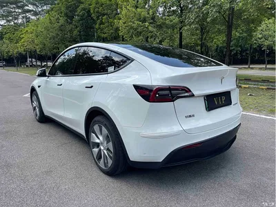 2022 Tesla Model Y Rear-Wheel Drive Version, фото 4, лот 11221897