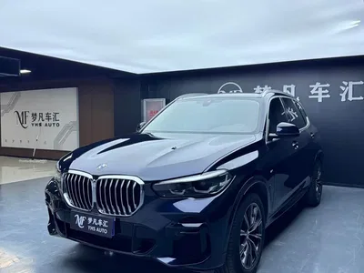2021 BMW X5 (Import) Facelift xDrive30i X Design Package, фото 1, лот 10464279