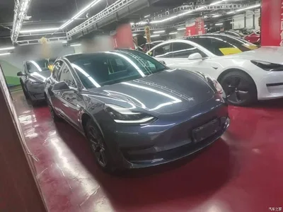2020 Tesla Model 3 Standard Range Rear-Wheel Drive Upgrade, фото 4, лот 10463757