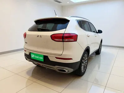 2020 Haval H6 1.5GDIT Automatic Platinum Champion Edition, фото 4, лот 10685022