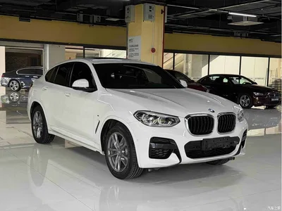 2020 BMW X4 xDrive25i M Sport Package, фото 3, лот 10476917