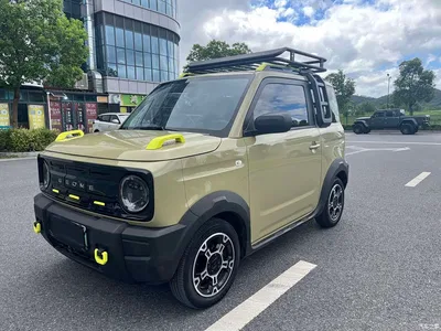 2024 Geely Galaxy Panda 200km Panda Knight, фото 1, лот 10431017