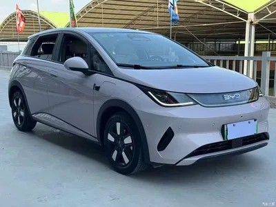2025 BYD Dolphin Smart Drive Edition 410km Fashion Version, фото 3, лот 10249971