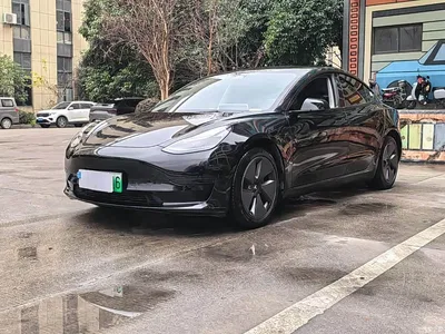 2022 Tesla Model 3 Model Rear-Wheel Drive Version, фото 1, лот 11494439